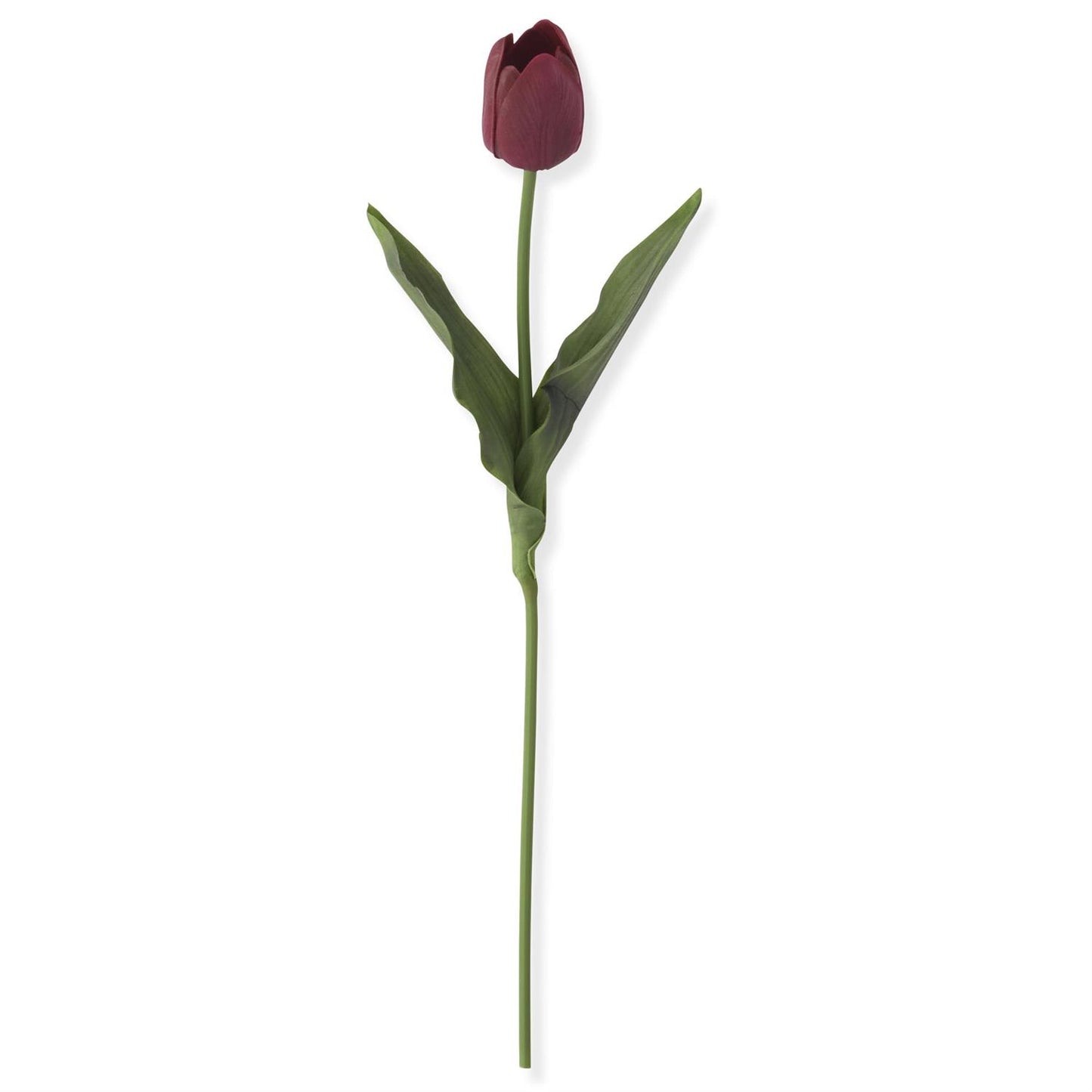 Tulip Stem - Dark Red