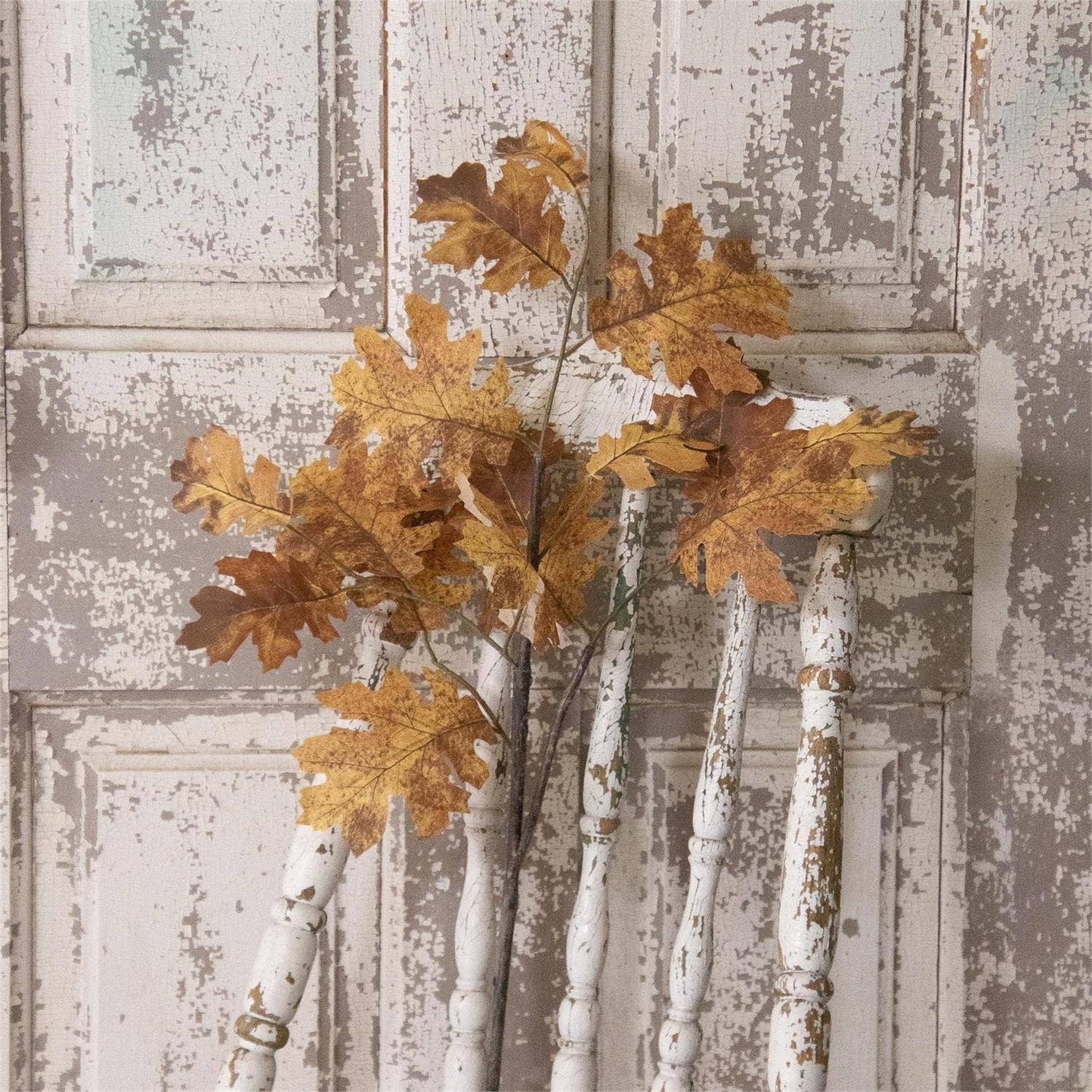 Fall Oak Branch