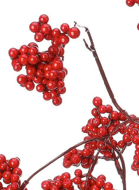 Red Wild Berry Spray
