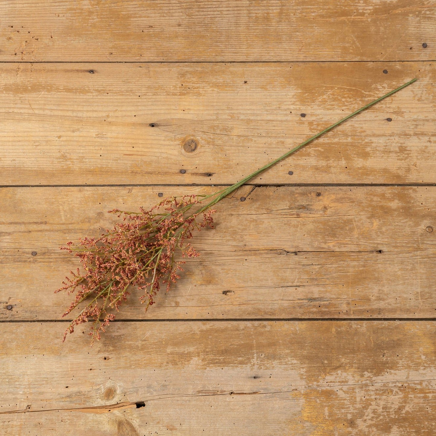 Foliage Spray