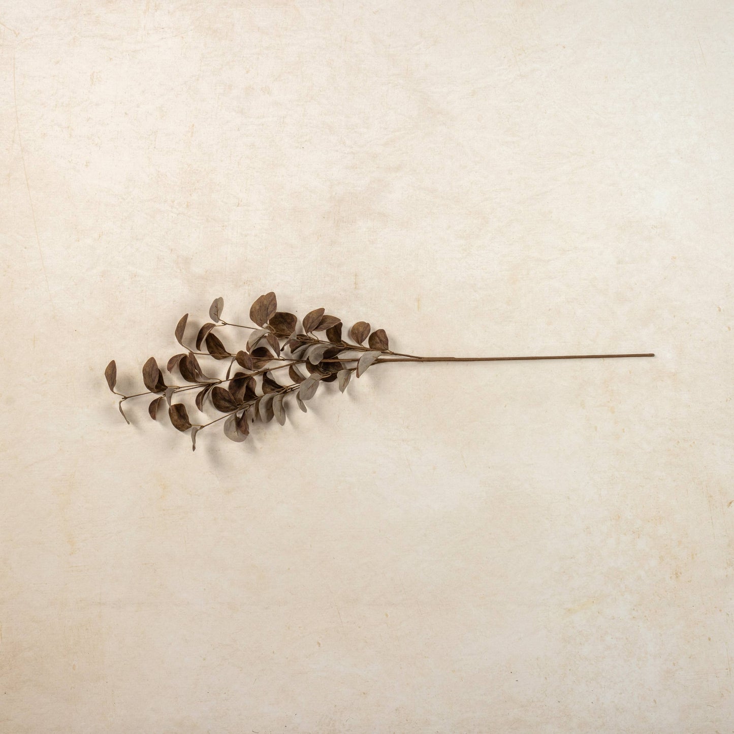 Eucalyptus Leaf Spray - Brown