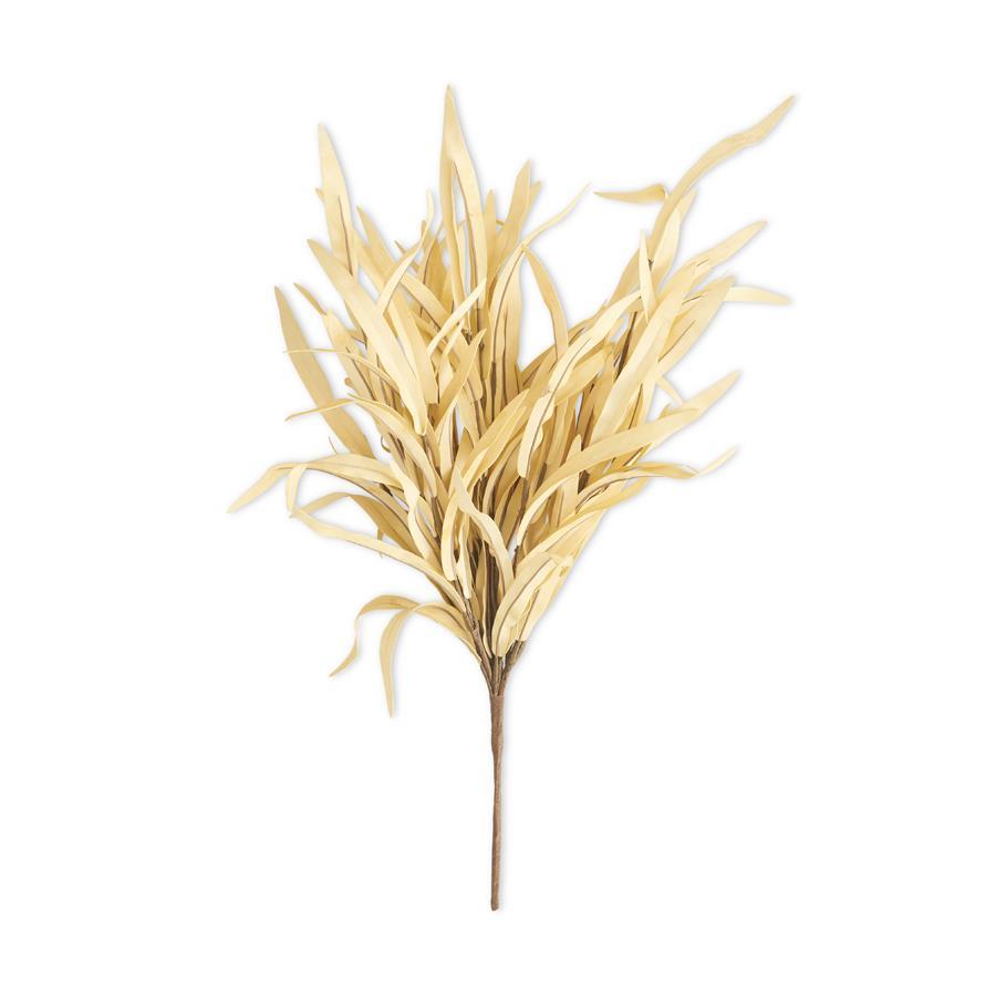 Eva Grass Bush - Cream
