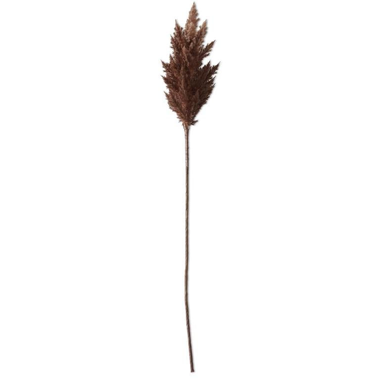 Pampas Grass Branch - Brown