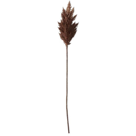 Pampas Grass Branch - Brown