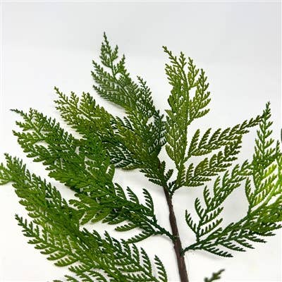 Real Touch Port Orford Cedar Spray