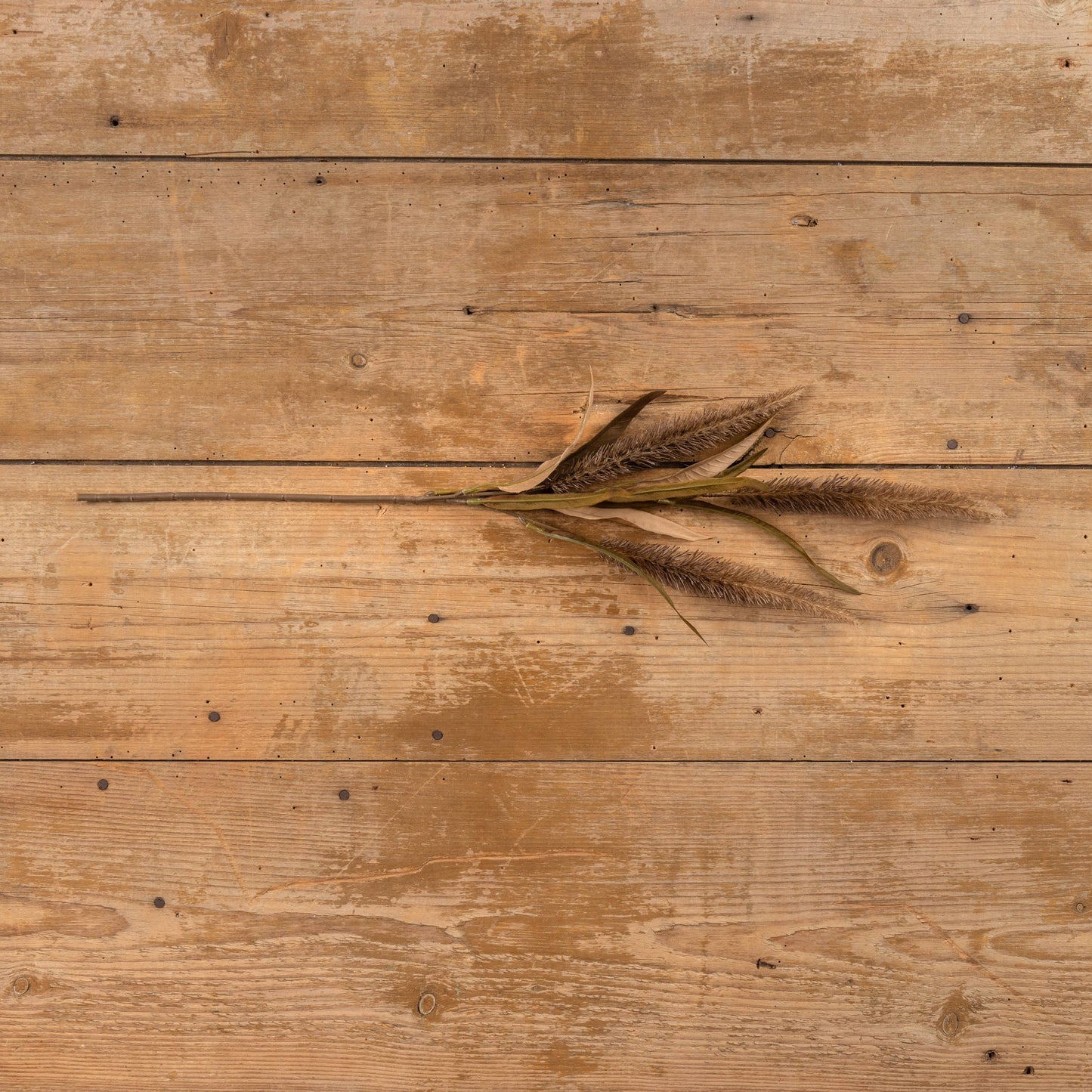 Bristlegrass Spray