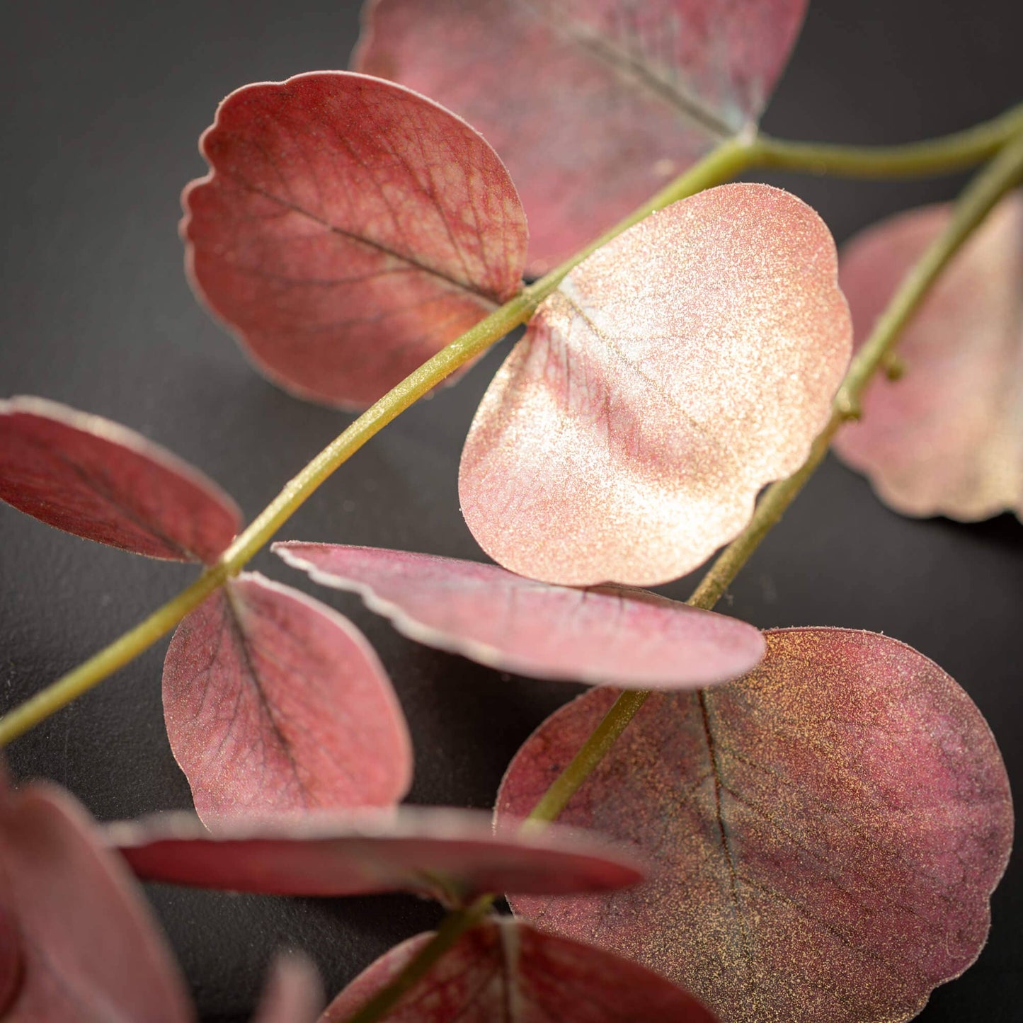 Eucalyptus Spray