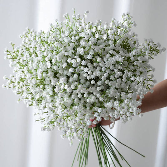 Baby's Breath Stems