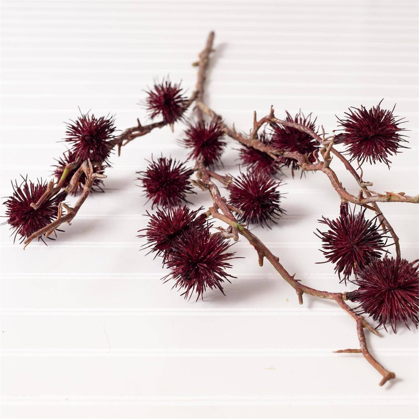 Gum Pod - Burgundy