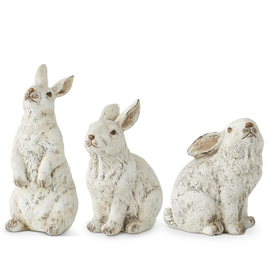 Gray Rabbits