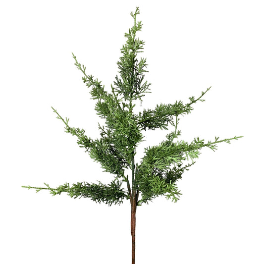 Eastern Cypress Spray