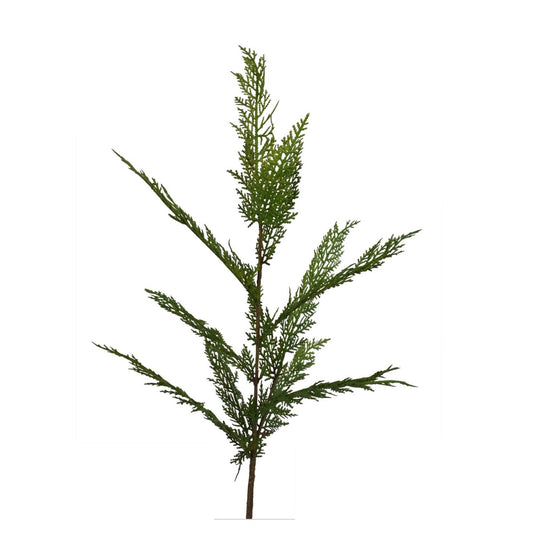 34” Selaginella Fresh Touch Cedar Spray