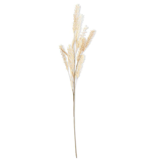 Pampas Grass Spray - Natural