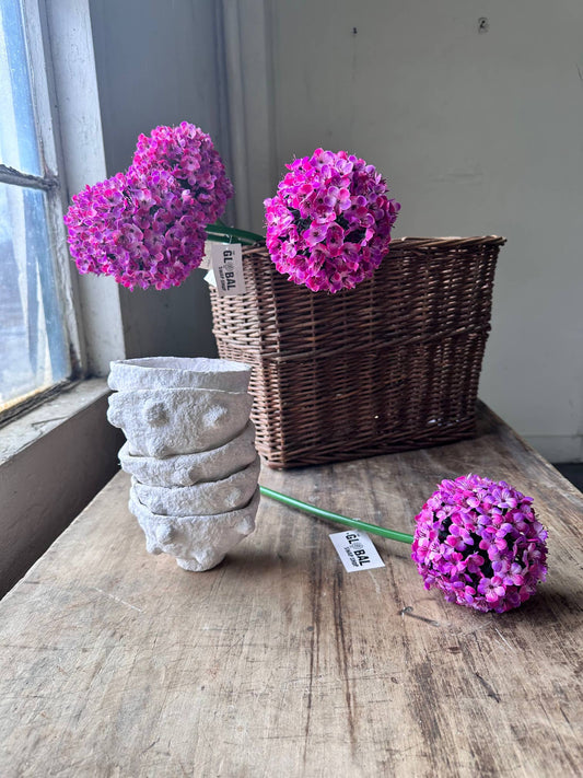 Pink and Purple Allium Stem
