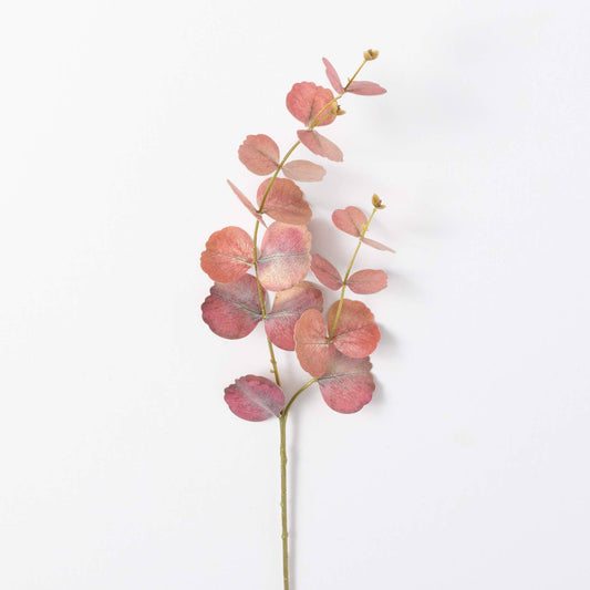 Eucalyptus Spray
