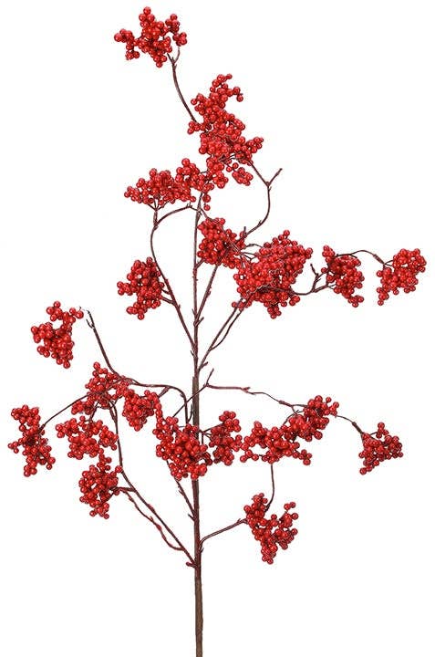 Red Wild Berry Spray