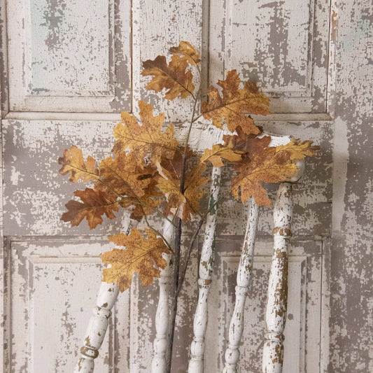 Fall Oak Branch