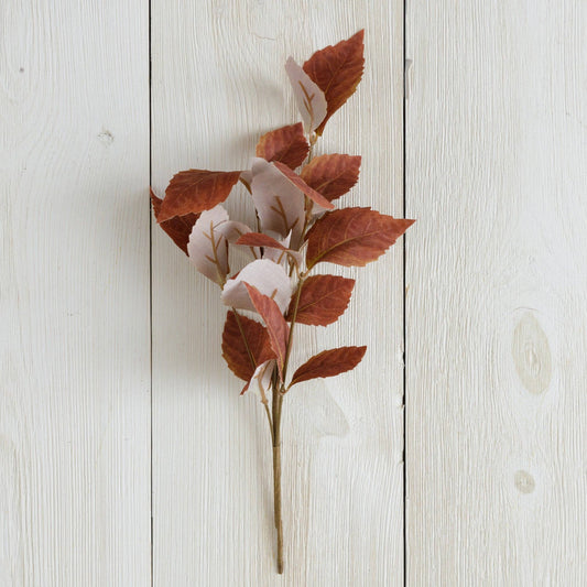 Brown Fall Leaves Pick