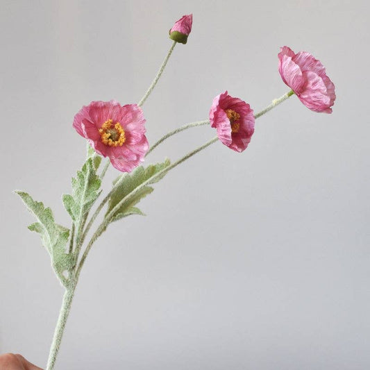 Flocked Poppy - Pink